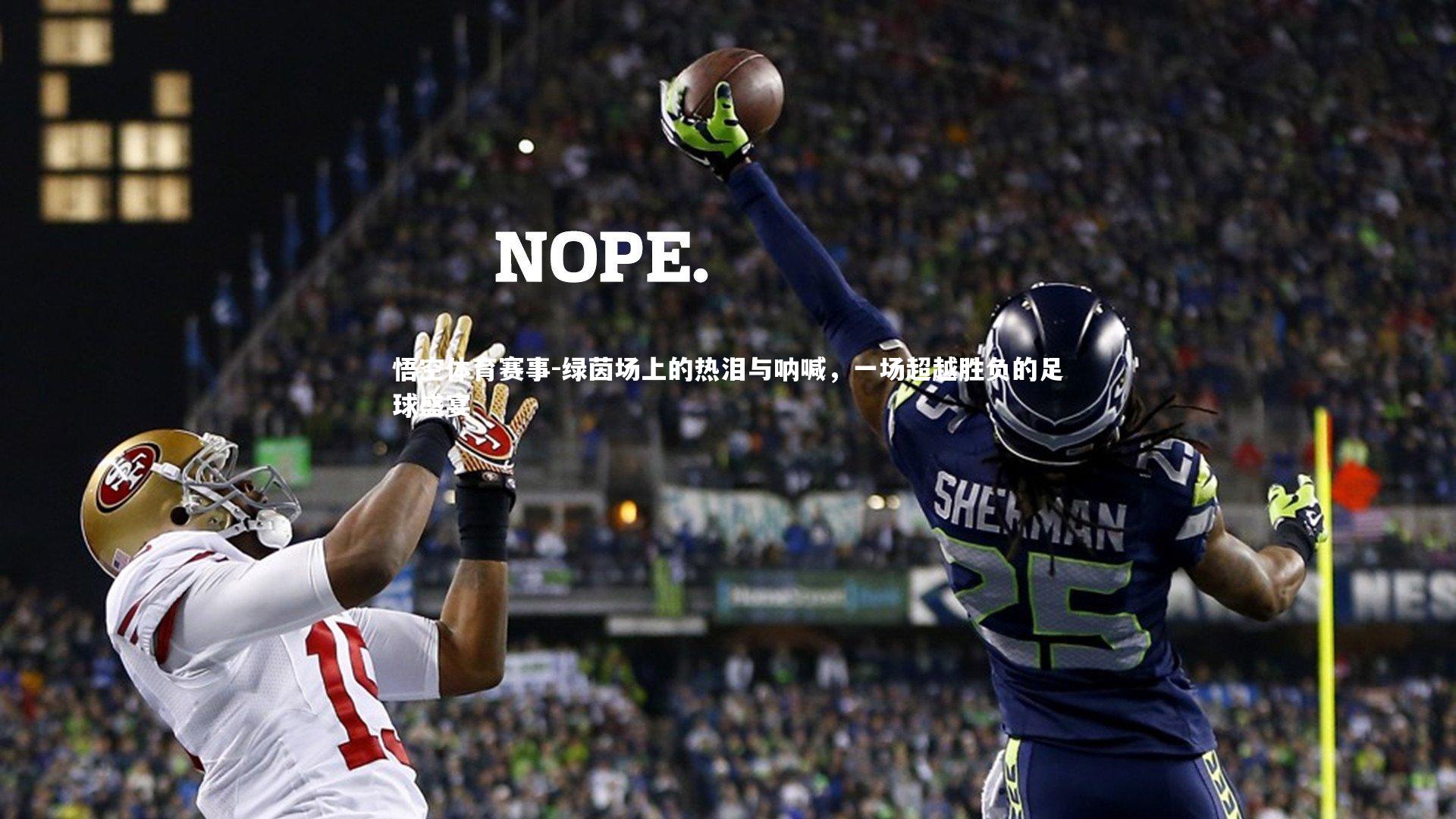 绿茵场上的热泪与呐喊，一场超越胜负的足球盛宴