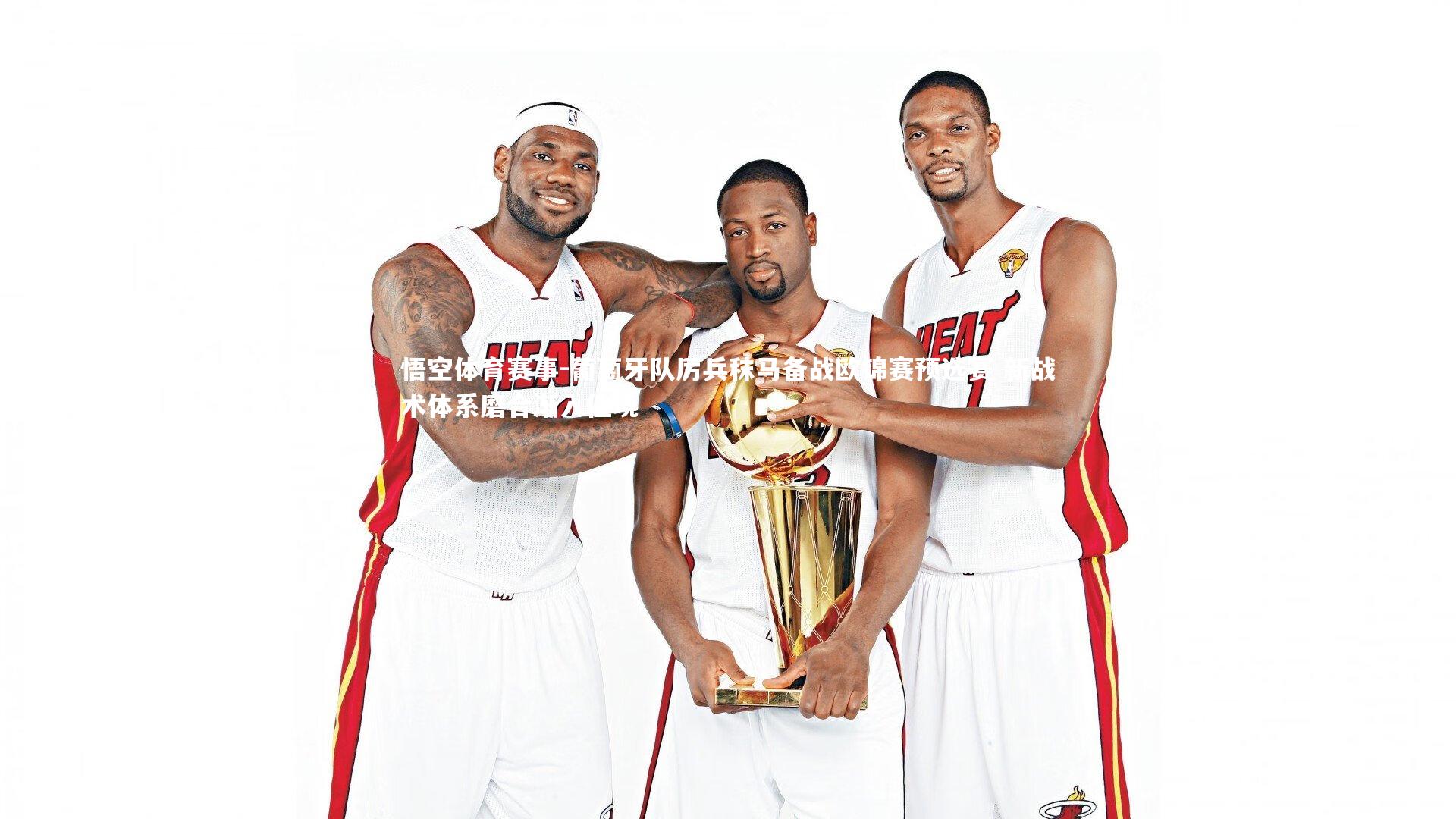 葡萄牙队厉兵秣马备战欧锦赛预选赛 新战术体系磨合渐入佳境