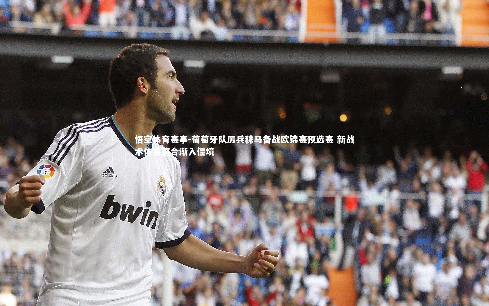 葡萄牙队厉兵秣马备战欧锦赛预选赛 新战术体系磨合渐入佳境